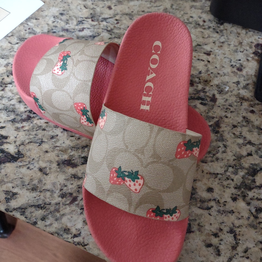 Coach Slides